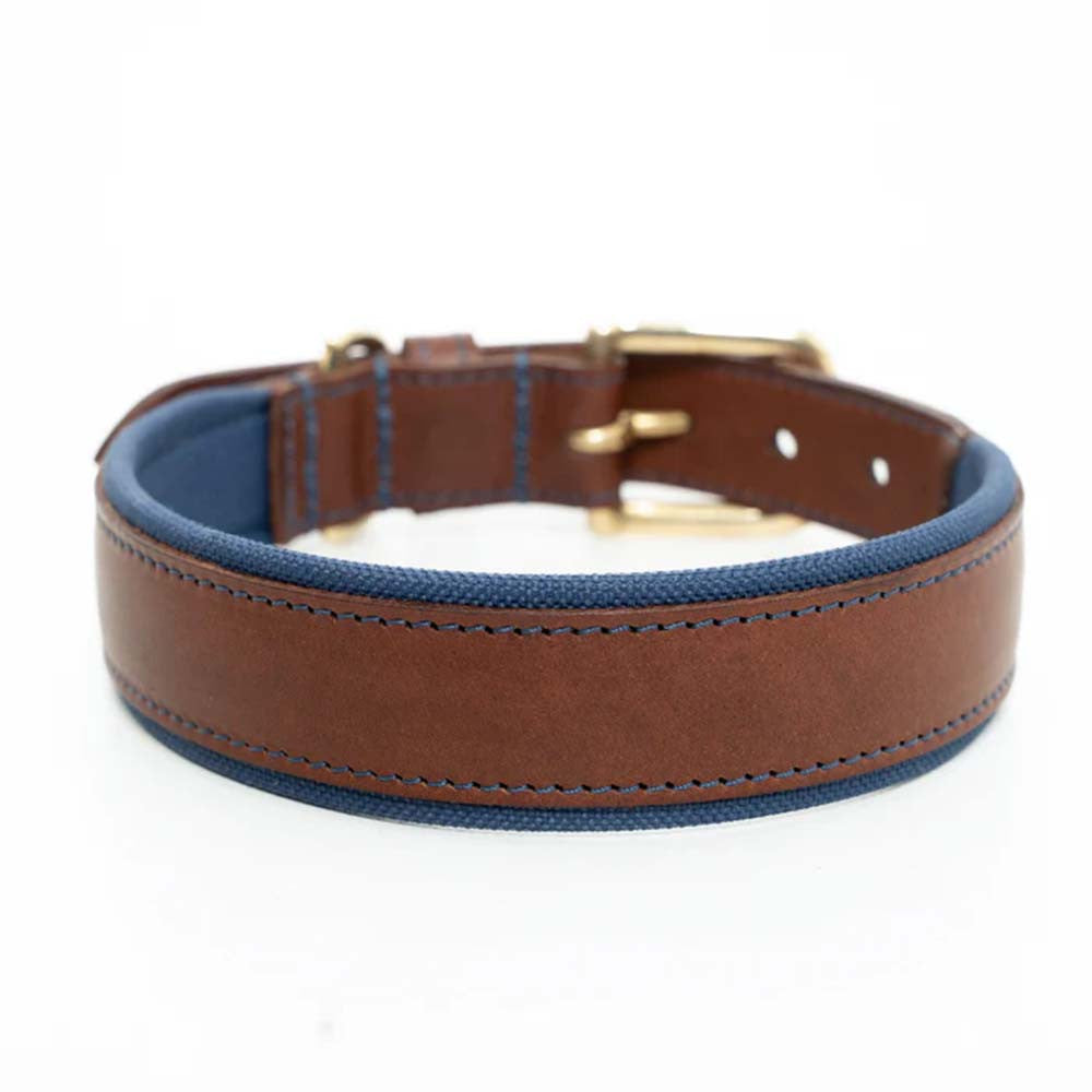 Collier pour chien en cuir rembourré - Bleu marine - Ruff and Tumble