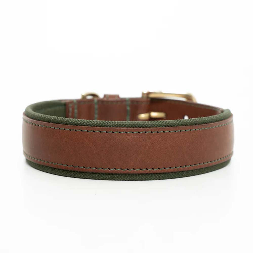 Collier en cuir rembourré pour chien - Olive - Ruff and Tumble