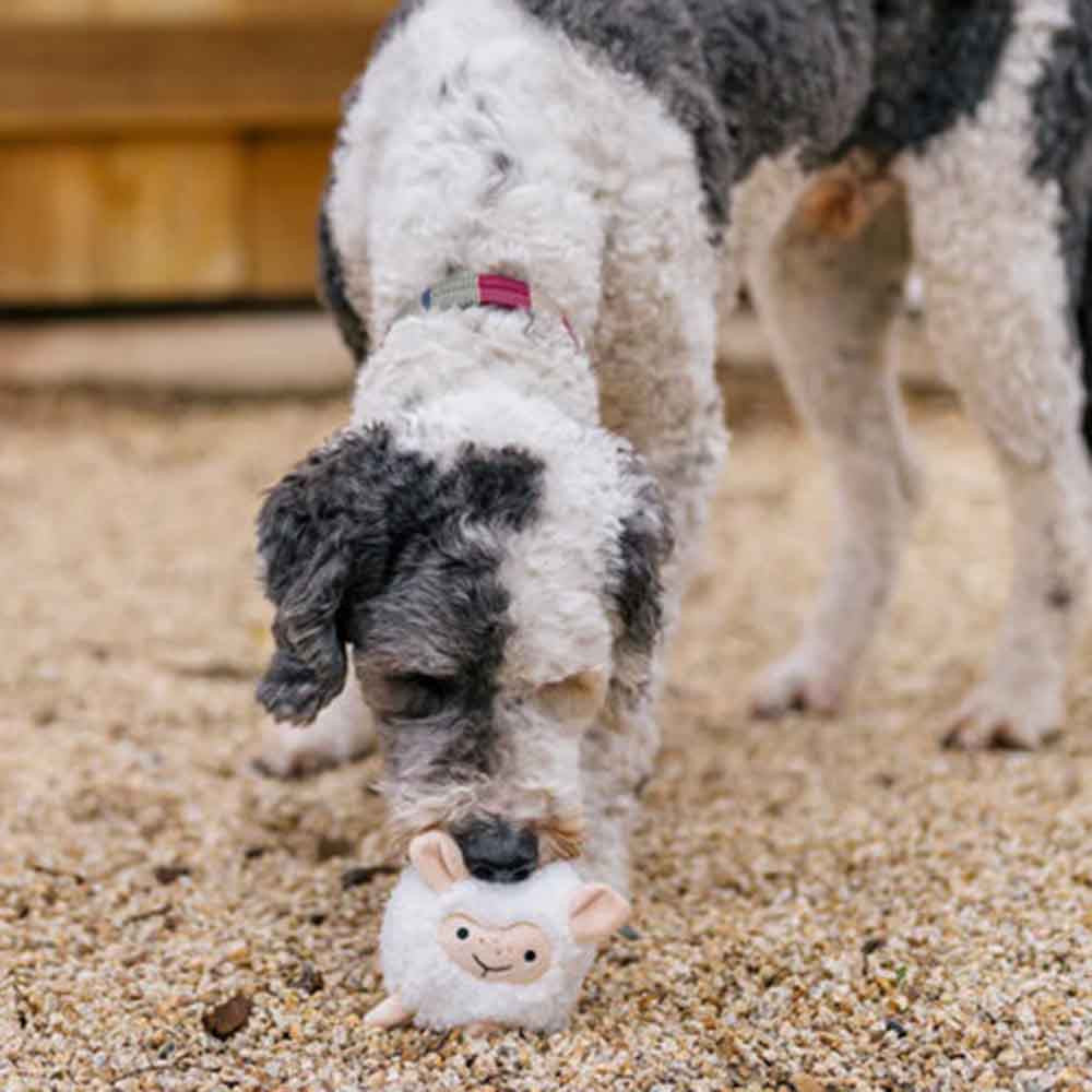 Schaf Hundespielzeug - Pet P.L.A.Y.
