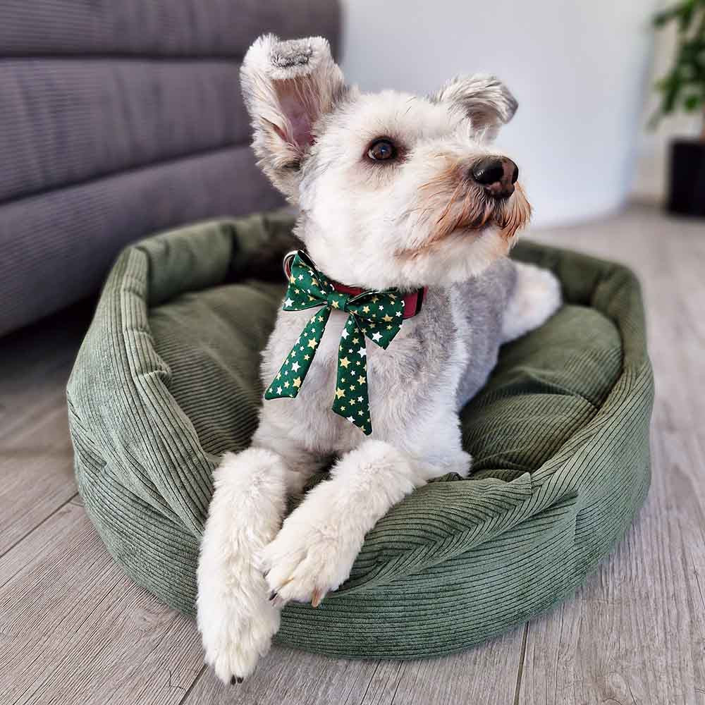 Nœuds pour chiens - faits main par hundini - Édition limitée
