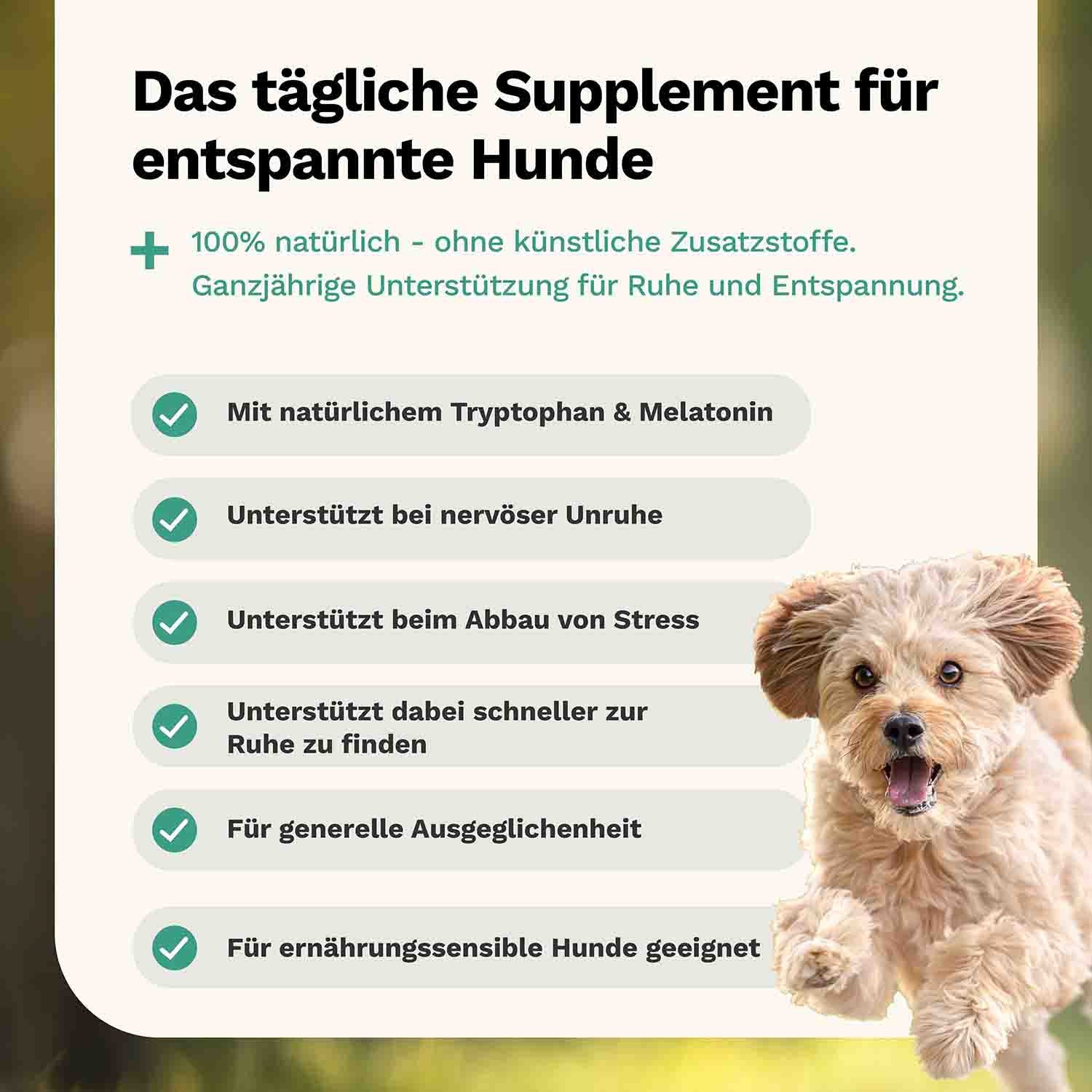 Calm n' Relax Hundesnack - Ruhe & Entspannung - Snoggos