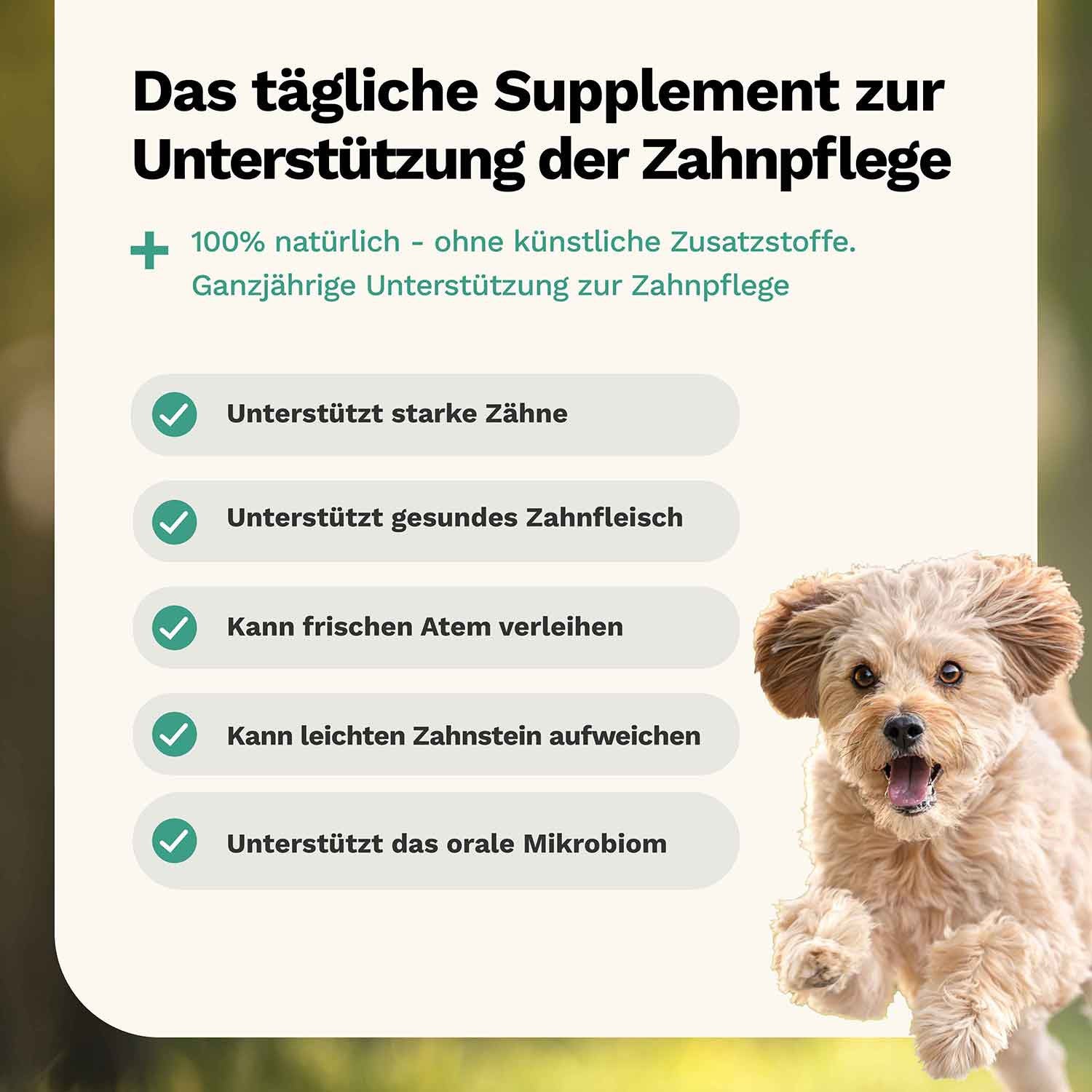 Hollywood Smile Hundesnack - Zähne & Zahnfleisch - Snoggos