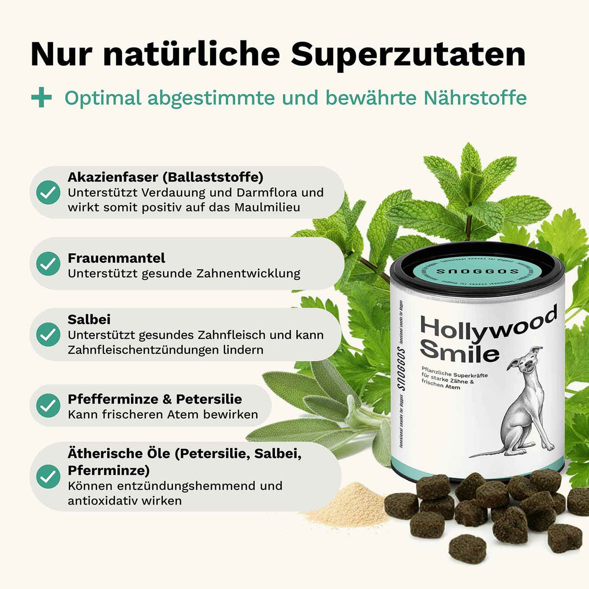 Hollywood Smile Dog Snack - Teeth & Gums - Snoggos