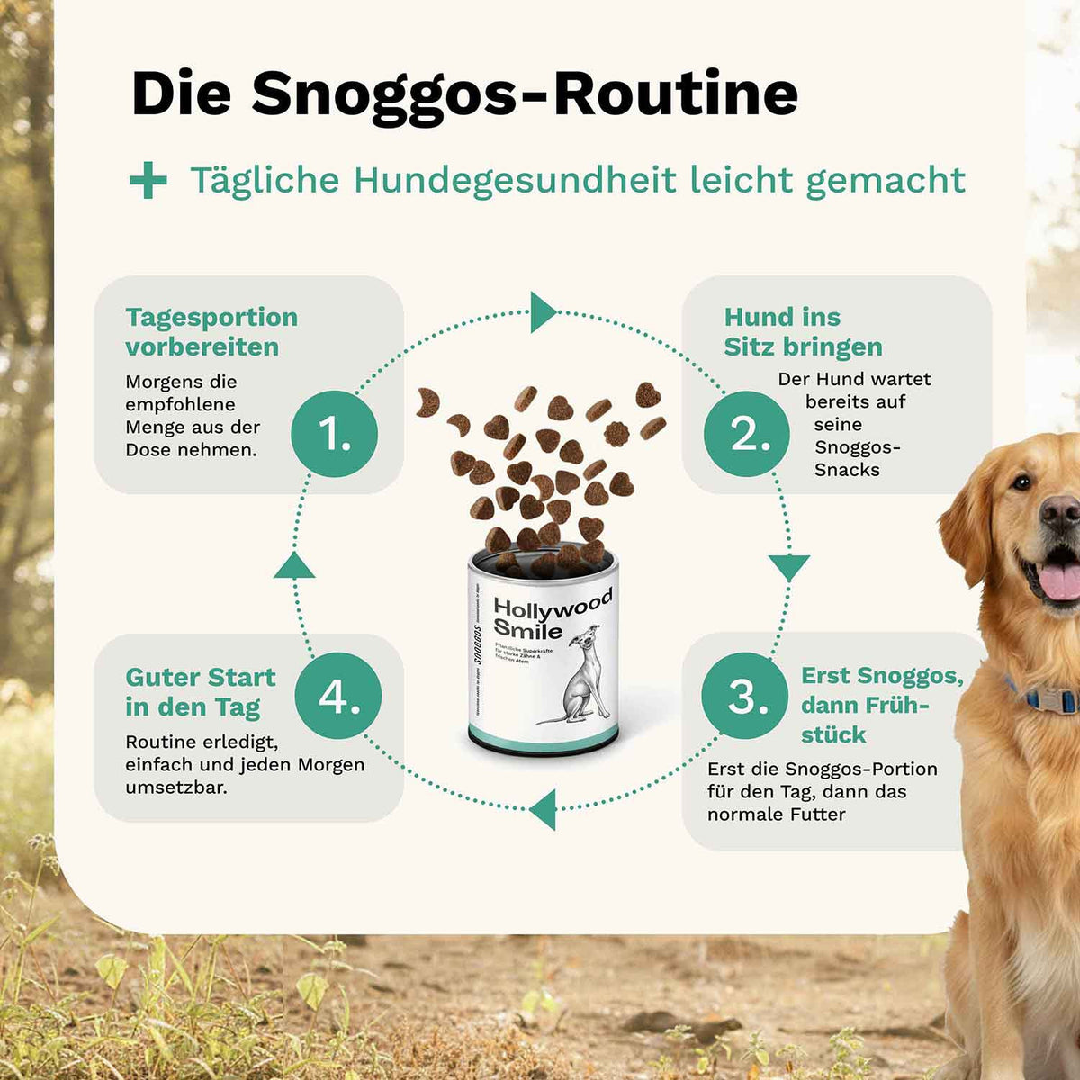 Hollywood Smile Dog Snack - Teeth & Gums - Snoggos