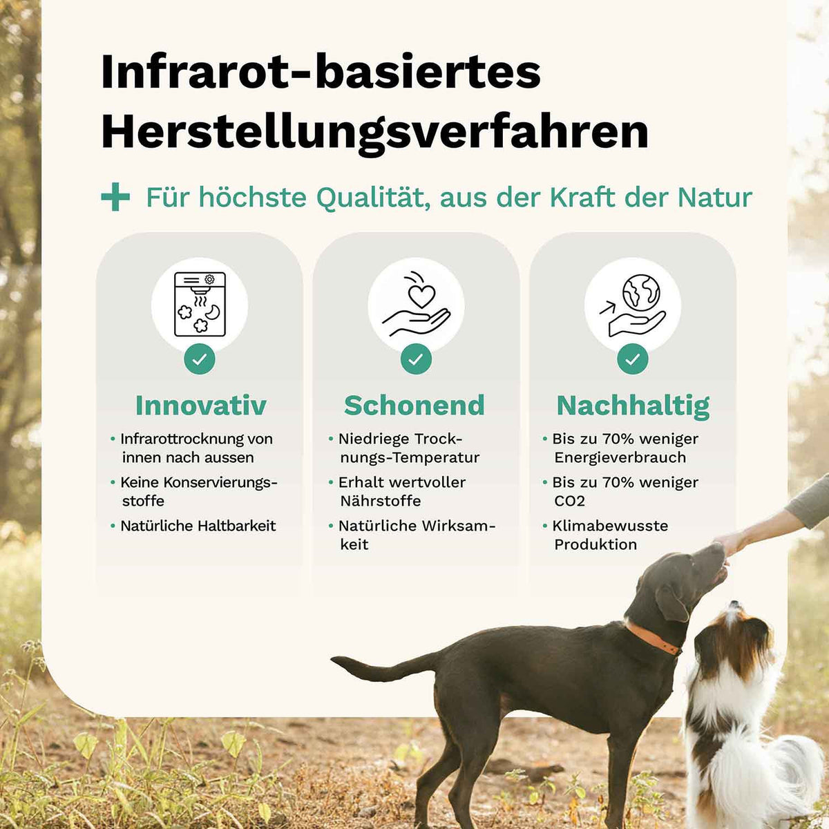 Tummy Love Hundesnack - Magen & Darm - Snoggos