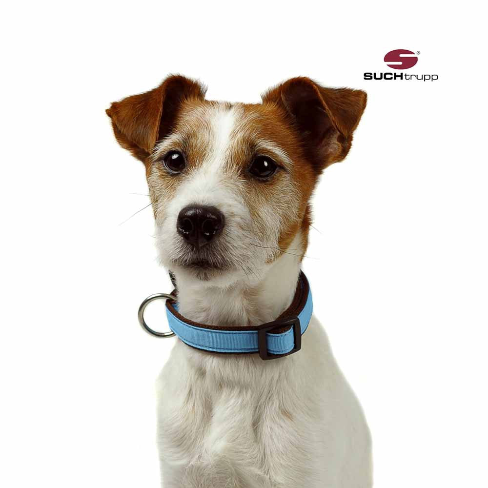 Hundehalsband LIGHT BLUE von SUCHtrupp