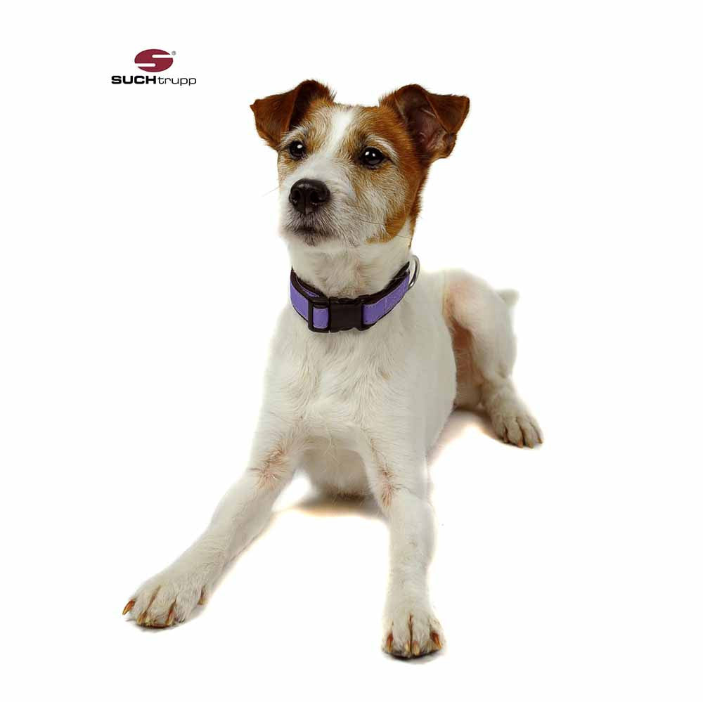 Collier pour chien LAVENDEL de SUCHtrupp