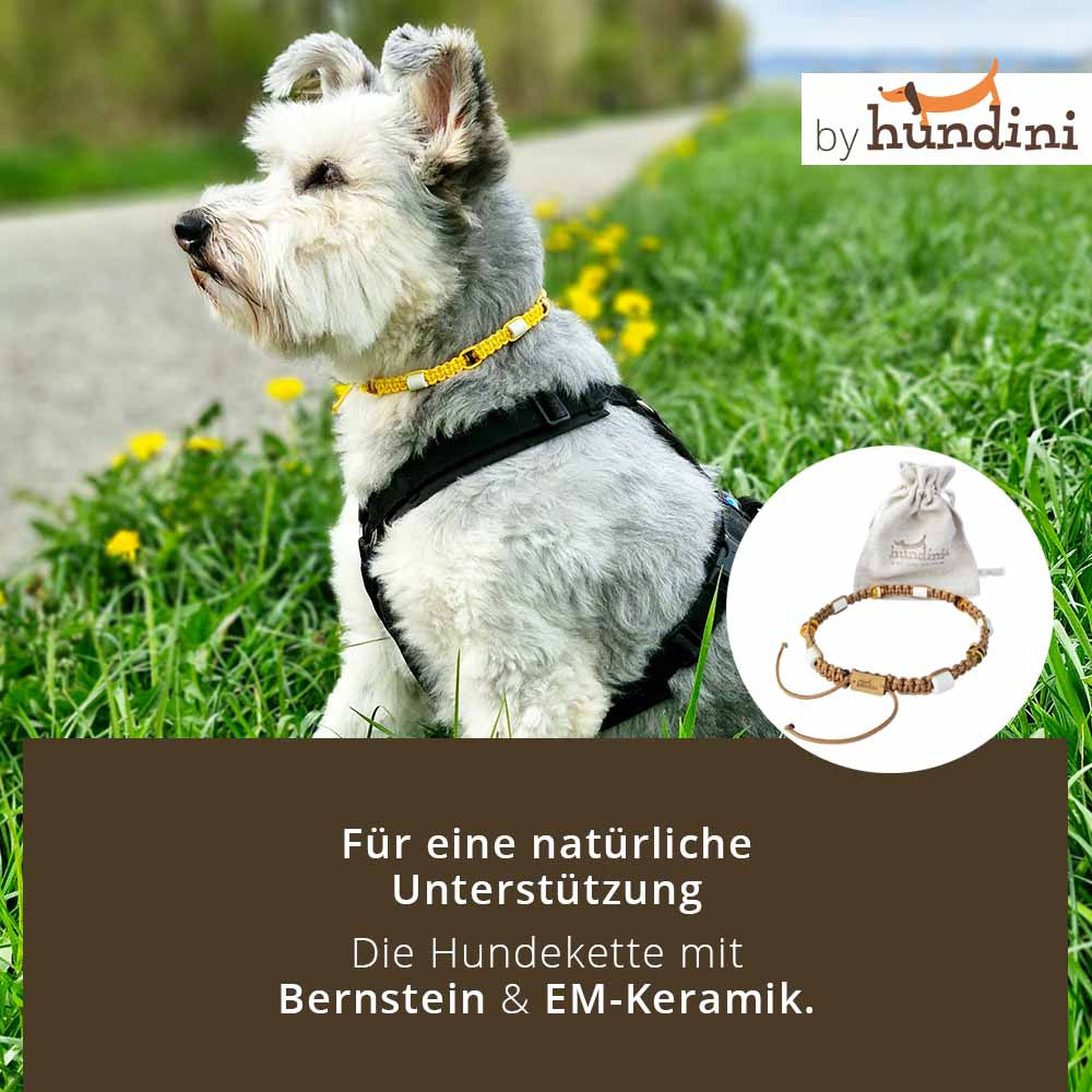 Hundekette - Bernstein - EM - by HUNDINI