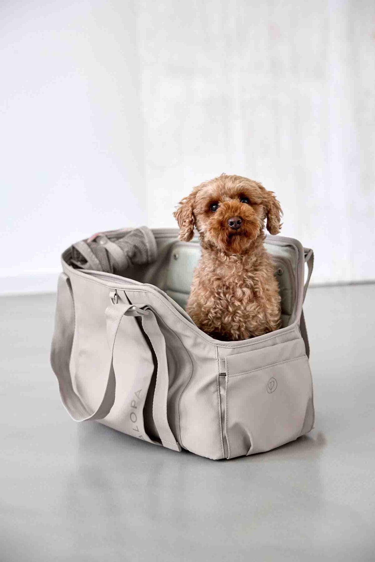 Dog Carrier Weda for Pet Transport - PALOPA