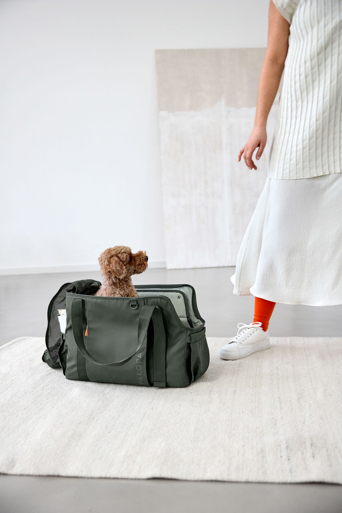 Dog Carrier Weda for Pet Transport - PALOPA