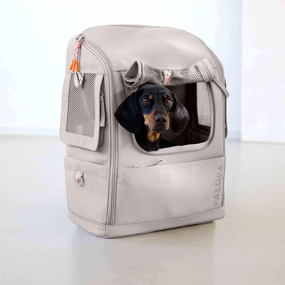 Sac à dos de transport pour chien Kari - PALOPA