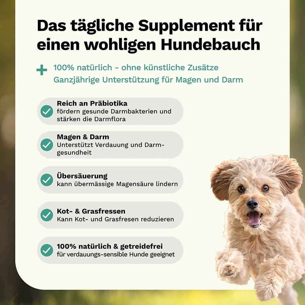 Tummy Love – Stomach & Intestines - Dog Herbal Blend - Snoggos