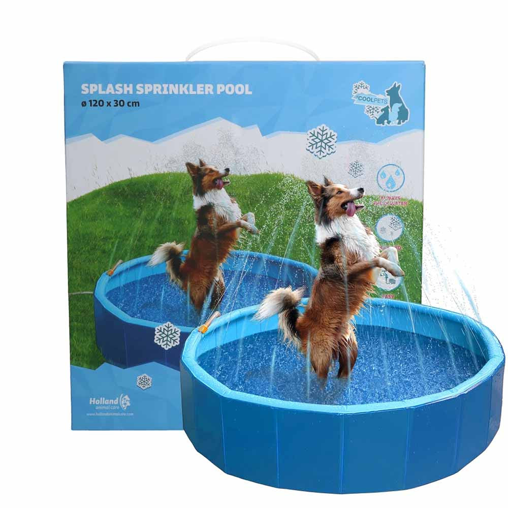 Splash Sprinkler Pool für Hunde