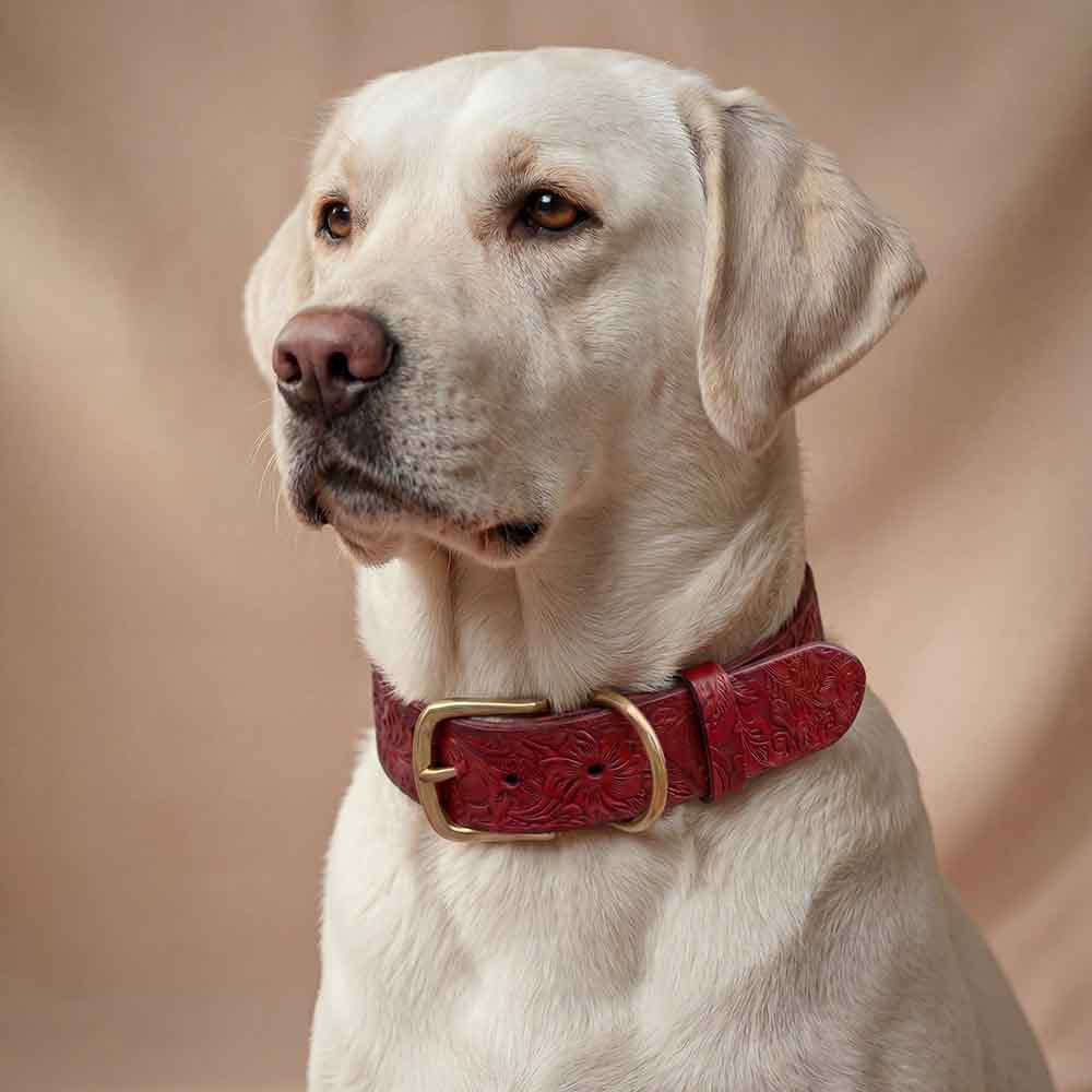 Floral Leather Dog Collar with Tag - Doggy with Style