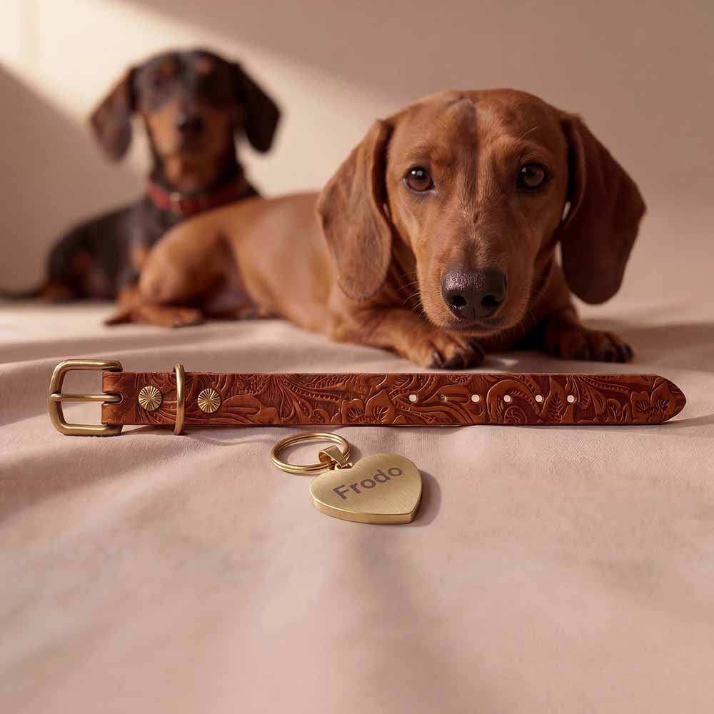 Floral Leather Dog Collar with Tag - Doggy with Style