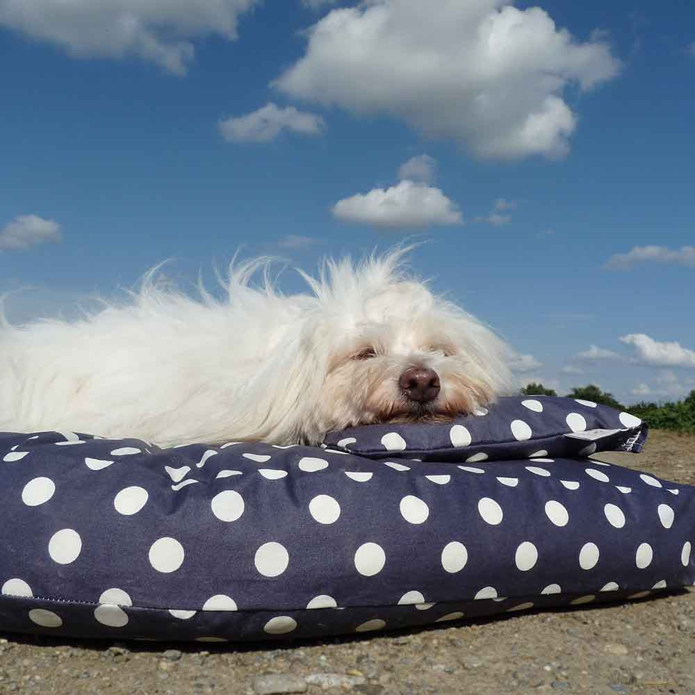 Bio-Bett wasserabweisend nachtblau von Dog Filou‘s