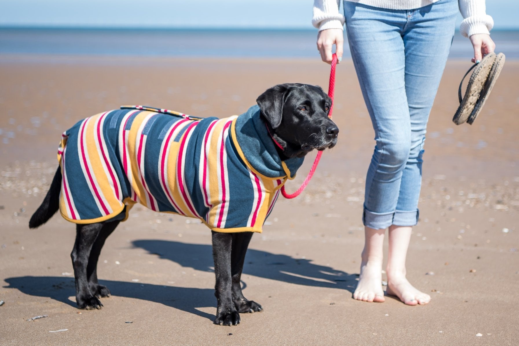 Hunde-Bademantel von Ruff And Tumble - grosse Größen