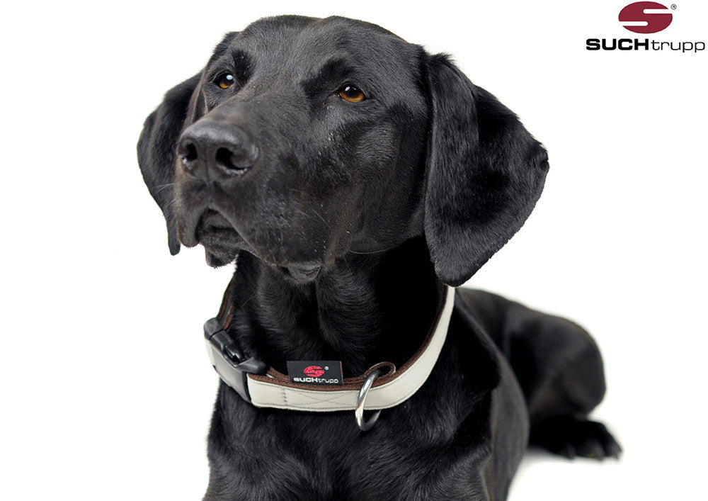 Collier pour chien GRIS CLAIR par SUCHtrupp