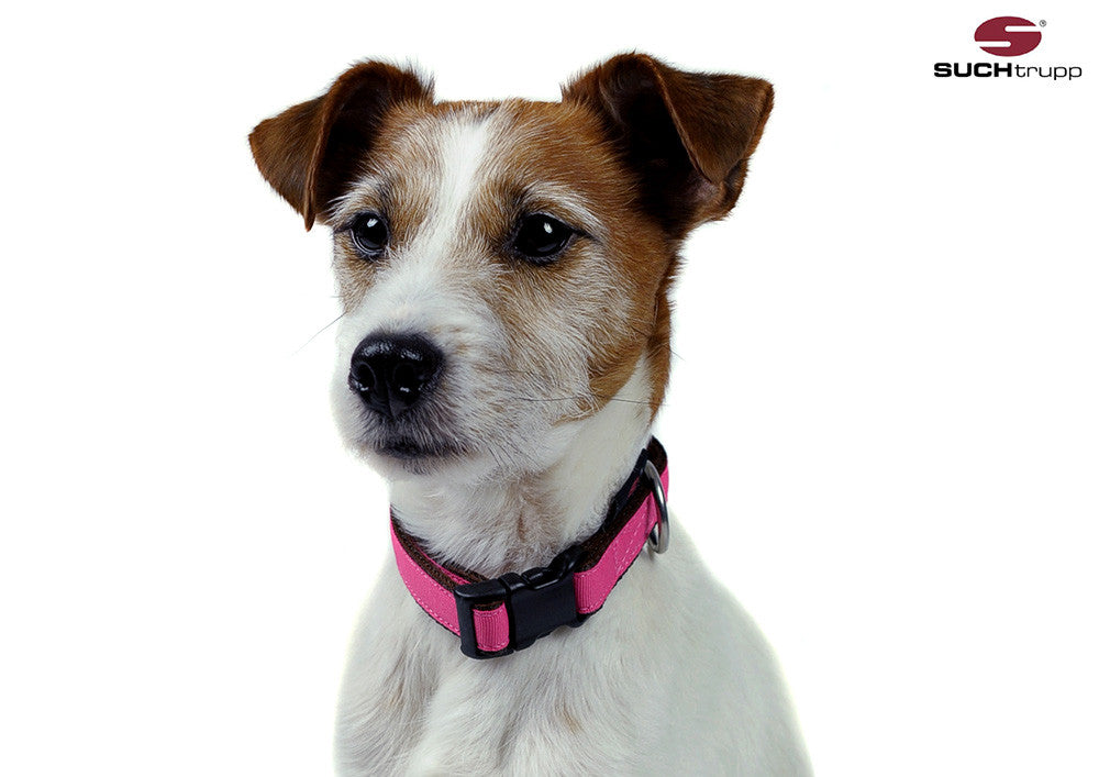 Collier pour chien BERRY PINK de SUCHtrupp