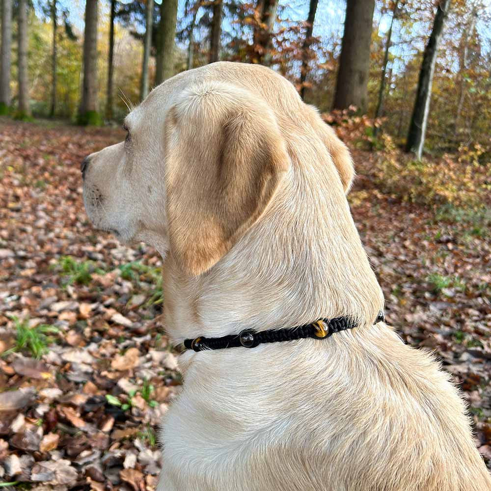 Collier de pierres curatives pour chien - Calme & Sérénité - HUNDINI