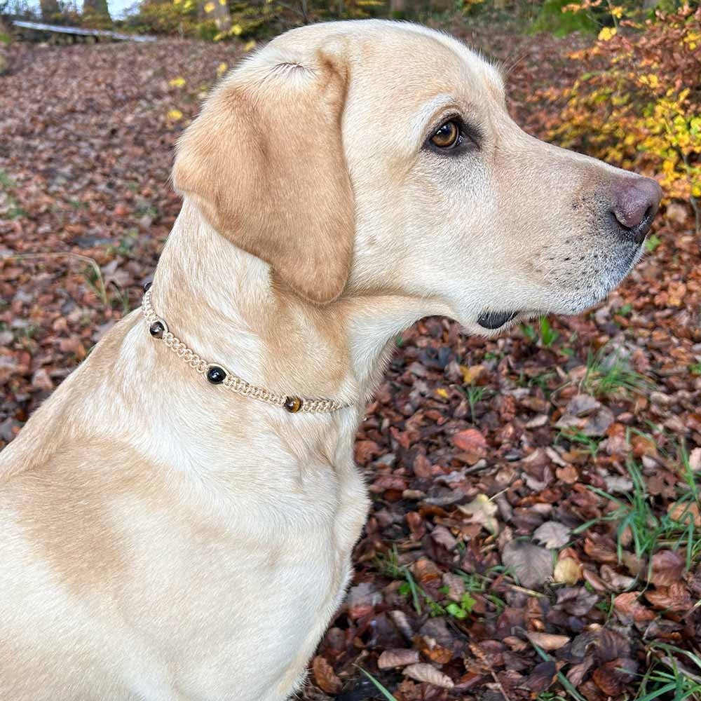 Collier de pierres curatives pour chien - Calme & Sérénité - HUNDINI