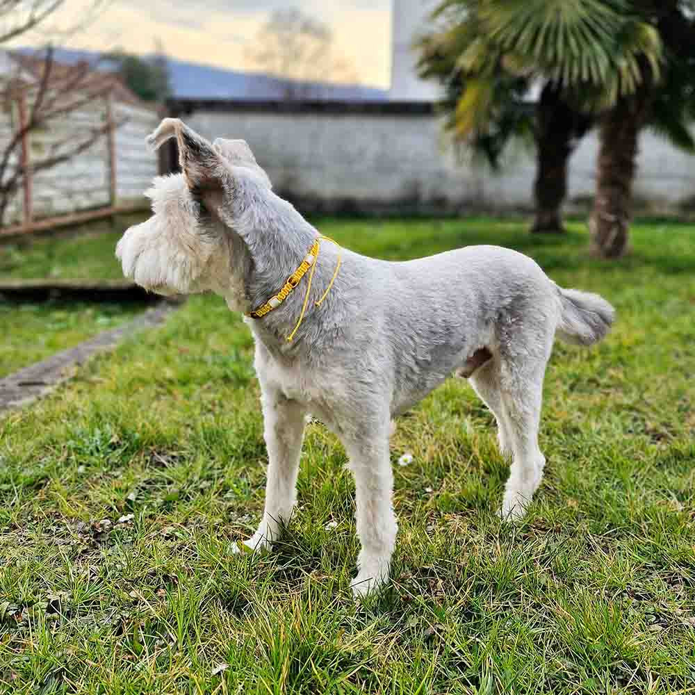 Hundekette - Bernstein - EM - by HUNDINI
