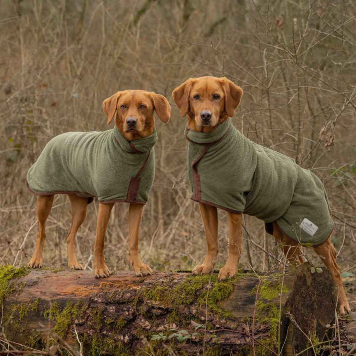 Hunde-Bademantel von Ruff And Tumble