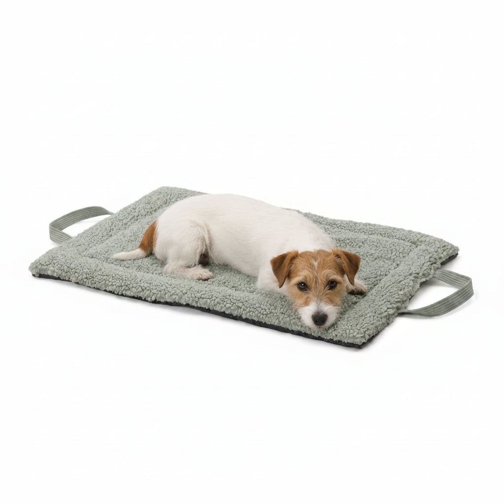 Reisematte Farbe Sage von Dogs in the City bei hundini.ch