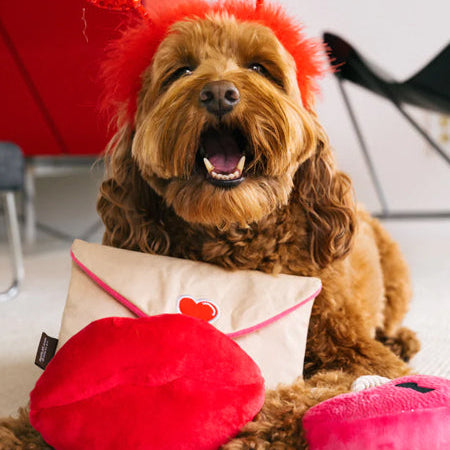 Jouet pour chien Game Bone - Pet P.L.A.Y.