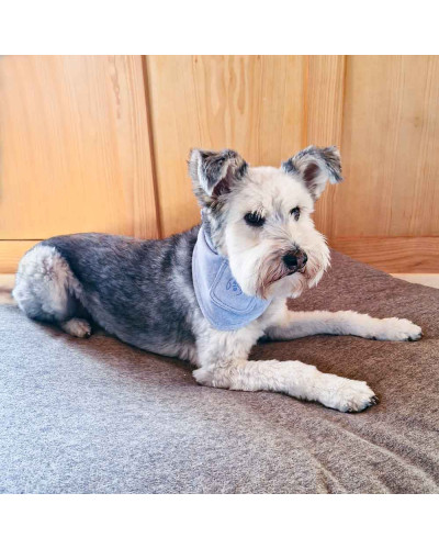 Bio Hundehalstuch mit Lavendel von Dog Filou's in Rose
