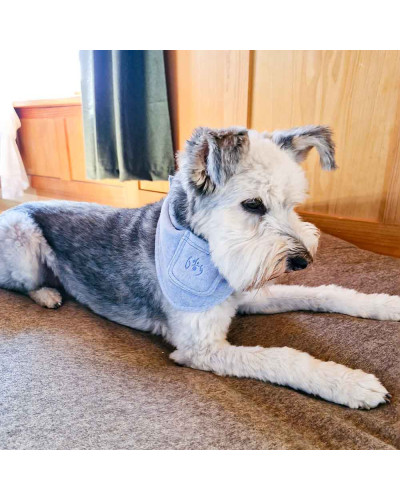 Bio Hundehalstuch mit Lavendel von Dog Filou's in Rose