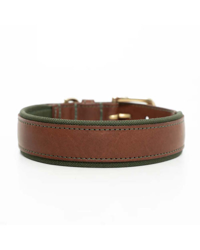 Leder-Hundehalsband gepolstert - Olive - Ruff and Tumble