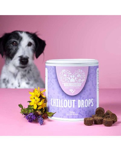 Chillout Drops von Tierliebhaber gegen Stress beim Hund