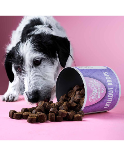 Chillout Drops von Tierliebhaber gegen Stress beim Hund