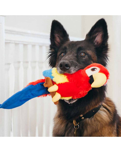 Papagei Hundespielzeug - Pet P.L.A.Y. bei hundini.ch