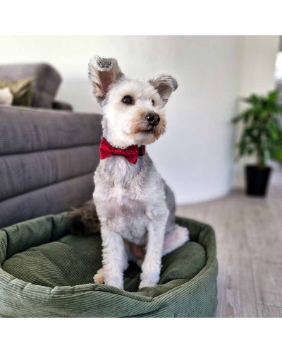 Handgemachte Fliegen für Hunde – by hundini Handgemachte Fliegen für Hunde – by hundini