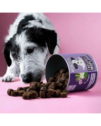 Chillout Drops von Tierliebhaber gegen Stress beim Hund