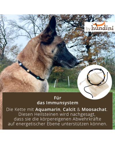 Heilsteinkette für Hunde von hundini.ch - Starkes Immunsystem