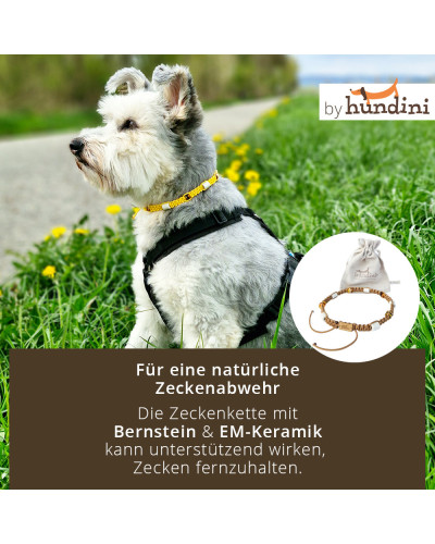 Zeckenkette für Hunde von hundini.ch