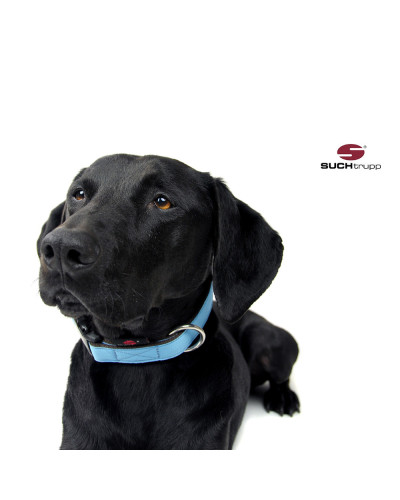 Hellblaues und langlebiges Hundehalsband von SUCHtrupp