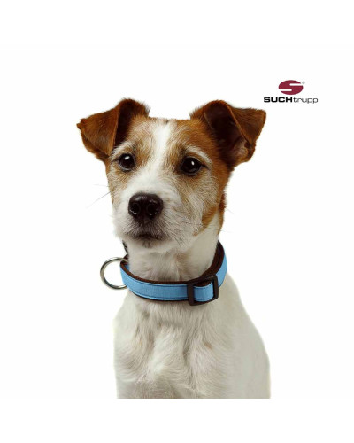 Hellblaues und langlebiges Hundehalsband von SUCHtrupp