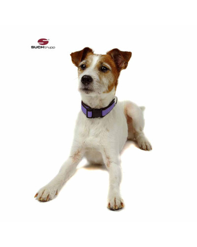 Lavendelfarbiges und langlebiges Hundehalsband von SUCHtrupp