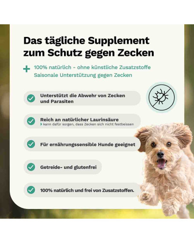 Zeck Away Hundesnack von Snoggos – Natürliche Abwehr