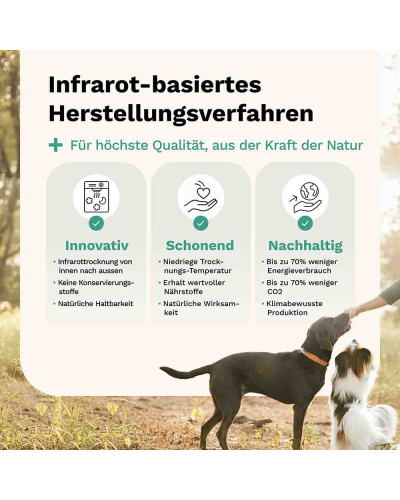 Zeck Away Hundesnack von Snoggos – Natürliche Abwehr