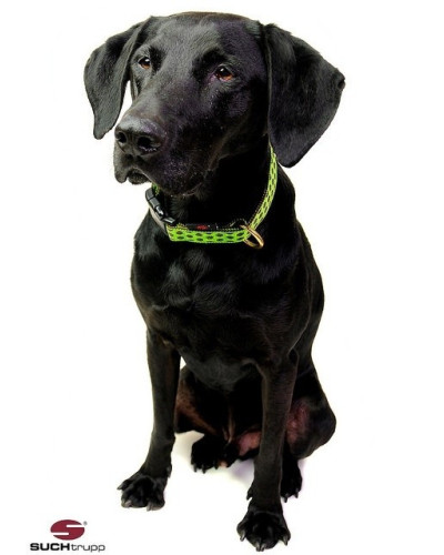 Hundehalsband Dots limegreen-brown von SUCHtrupp