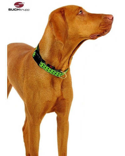Hundehalsband Dots limegreen-brown von SUCHtrupp