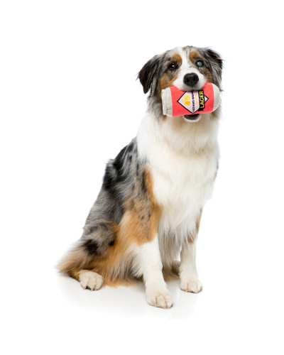 Plüscht-Bierdose für Hunde von Fuzzyard