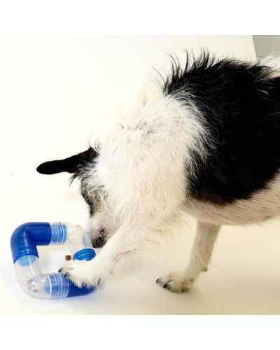 Orbee-Tuff Link Hundespielzeug von Planet Dog Orbee-Tuff Link Hundespielzeug von Planet Dog