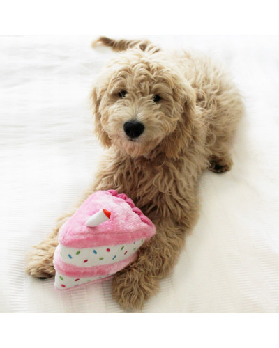 Witziger Plüsch-Geburtstagskuchen für Hunde von Zippy Paws.