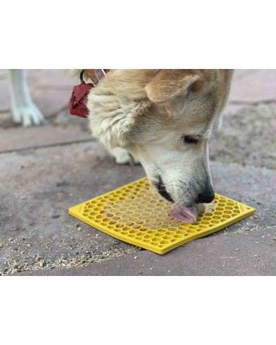Schleckmatte für Hunde
